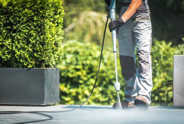 Best Roof Washing  in Byrdstown, TN