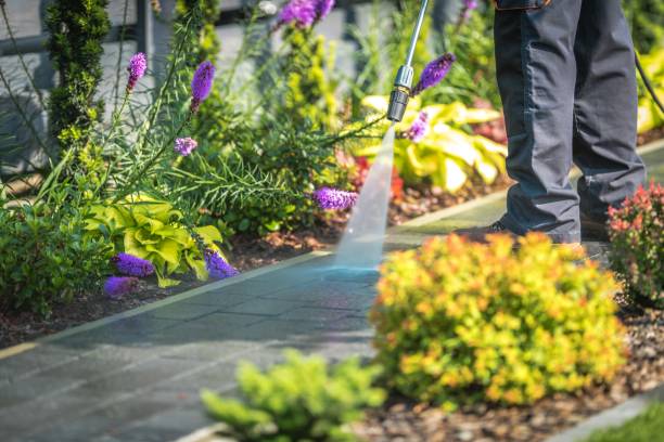Best Pool Deck Cleaning  in Byrdstown, TN